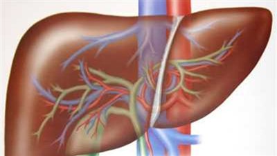 أسباب الإصابة بفيروسات الكبد وطرق الوقاية منها