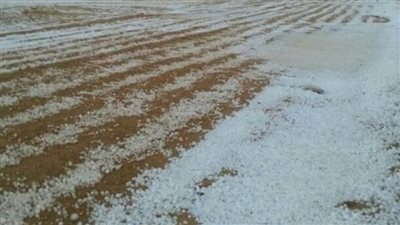 الأرصاد: انخفاض الحرارة وسقوط حبات البرد على بعض المناطق غدا| فيديو