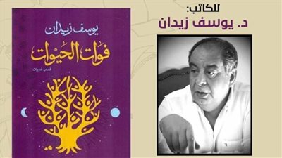 توقيع المجموعة القصصية 