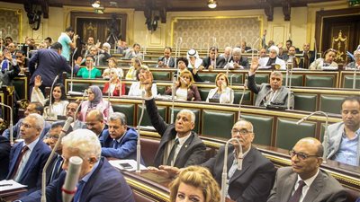 فرج عامر يجلس بجوار مرتضى منصور بالجلسة العامة للبرلمان