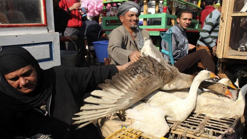 صورة أرشيفية