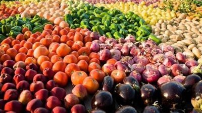 فتح 15 سوقا جديدا في العالم أمام الحاصلات الزراعية المصرية خلال عام