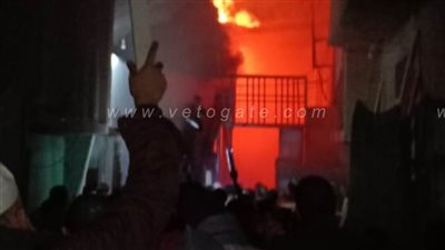 ٧ سيارات إطفاء لإخماد حريق بشونة أخشاب في الغربية | صور