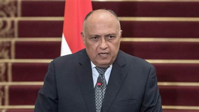 شكري يجري عددا من الاتصالات الهاتفية مع نظرائه للتباحث حول التطورات الأخيرة في ليبيا