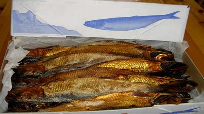 أستاذ أمراض أسماك يحذر المواطنين من تناول أحشاء الرنجة