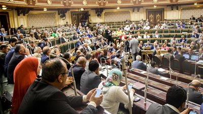 النواب يرفض طلبا جديدا لرفع الحصانة عن مرتضى منصور