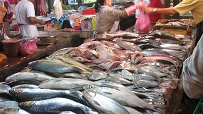 تباين أسعار الأسماك بسوق العبور