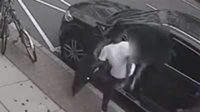 لحظة هجوم 5 لصوص على فتاة لسرقة سيارتها (فيديو)