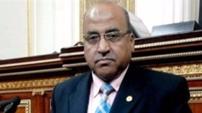 الزنط يكشف مصادر تمويل فارق زيادة المعاشات في حال تعديل القانون