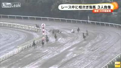 بالفيديو.. تعثر حصان يحول حلبة سباق لكارثة