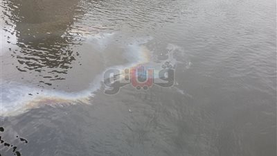 انتشار بقع زيت مسربة من البواخر العائمة في القاهرة (فيديو وصور)