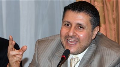 نجاد البرعي لـ«ساويرس»: شكرًا على دعمك لحقوق النوبيين في أرضهم