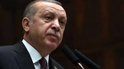 خبير في الشأن التركي: أردوغان يسعى لنظام رئاسي بصلاحيات مطلقة