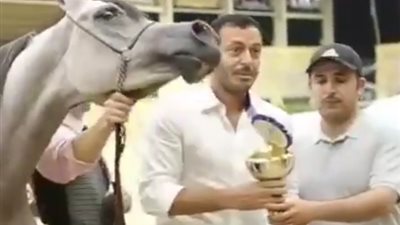 حصان مصطفى شعبان يحصل على المركز الأول في بطولة الخيول العربية (فيديو)