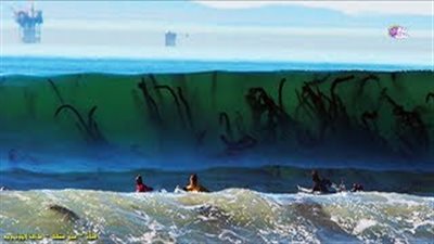 بالفيديو.. أخطر 10 شواطئ في العالم