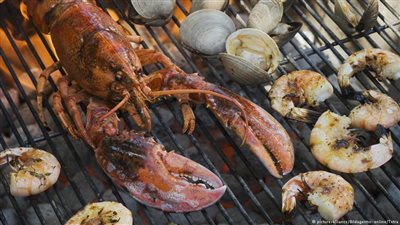 دراسة تربط بين تناول الأسماك ومقاوم ضعف الخصوبة