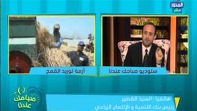 بالفيديو.. «بنك التنمية»: توريد القمح أعلى من السنوات الماضية
