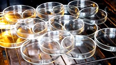 اختبار يوضح انتشار البكتيريا رغم غسل الأيدي بالصابون (فيديو)