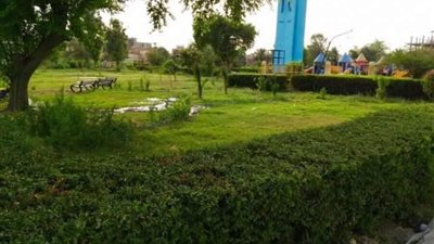 حصر الحدائق العامة المؤجرة في الوادي الجديد