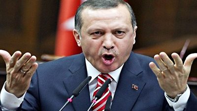 الرئيس يفوز.. تركيا في قبضة أردوغان