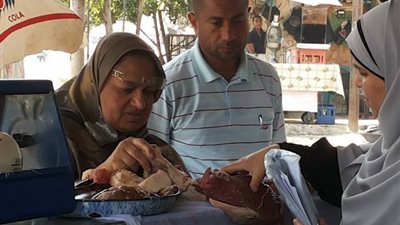 ضبط مصنعات لحوم ودواجن فاسدة بميدان حدائق القبة