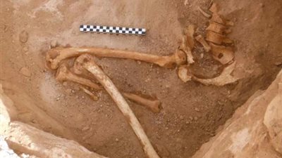 بالصور.. العثور على هيكل عظمي لامرأة فرعونية في إسرائيل