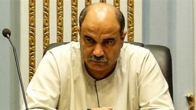 وكيل زراعة البرلمان: ضغوط النواب تجبر الحكومة على حل أزمة القطن