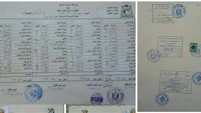 بالصور.. بيزنس الشهادات المضروبة في مصر.. 20 ألف جنيه لليسانس.. عضو في الحرس الثوري الإيراني يزيف شهادة دار علوم القاهرة.. وأستاذ جامعي: الأختام موجودة على «جوجل»