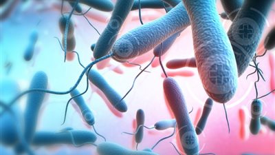 عدد ضحايا الكوليرا في اليمن يقترب من 1000