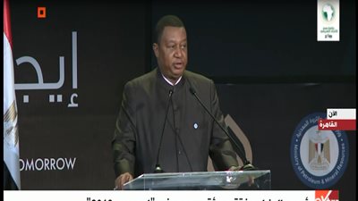 سكرتير «أوبك»: مصر أصبحت مركزا إقليميا للطاقة