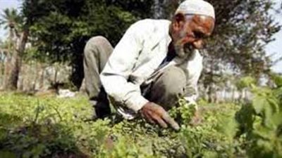 «الري» تقدر تعويضات تالف الزراعة الناتجة عن مشروعاتها