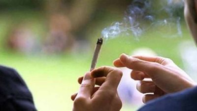 دراسة: تعاطي الحشيش في سن المراهقة يؤثر على الذاكرة والمهارات