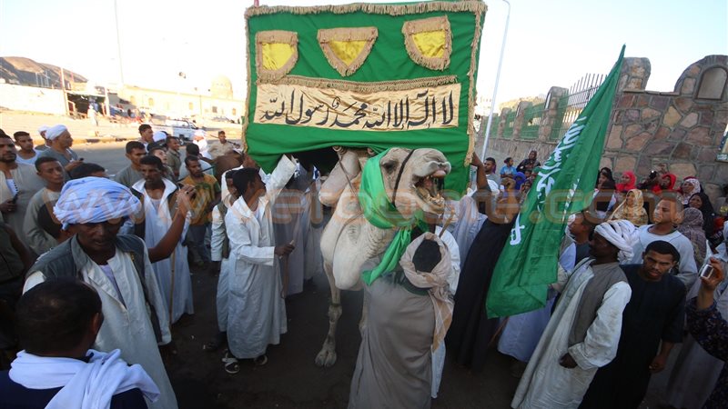 فيتو