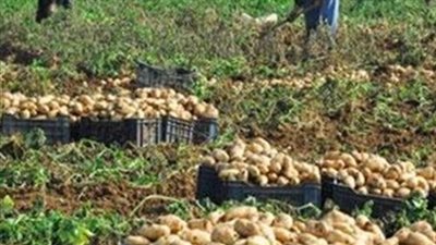 روسيا تفرض حظرا مؤقتا على استيراد المحاصيل الزراعية المصرية