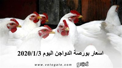 اسعار بورصة الدواجن اليوم 2020/1/3