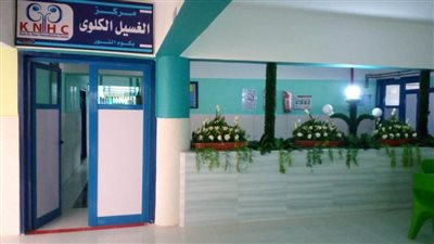 280 مليون تكلفة الإنجازات في قطاع الكلي بصحة الدقهلية في 2019