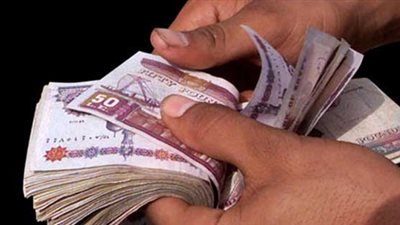 الصناديق الخاصة «أموال غير خاضعة للرقابة».. 14 مليار دولار حصيلتها في 2010...نواب يطالبون بضمها لموازنة الدولة.. «المصيلحي» يقترح لجنة تقصي حقائق.. وهشام جنينة يصفها بالباب الخلفي 