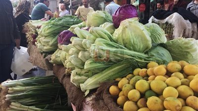 الليمون يسجل 7.5 جنيهات والبصل بـ270 قرشا