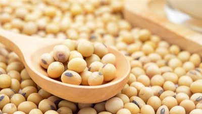 للوقاية من مرض السكر.. تناول فول الصويا يوميا
