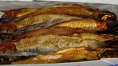 كيلو الرنجة بـ33 جنيها في منافذ شركة النيل للمجمعات