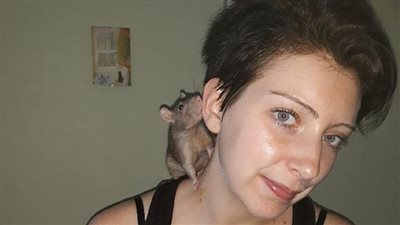 فرنسا تعلن الحرب على 4 ملايين فأر لإنقاذ باريس (فيديو وصور)