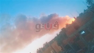 الدفع بـ 6 سيارات إطفاء للسيطرة على حريق الراشدة بالوادي الجديد