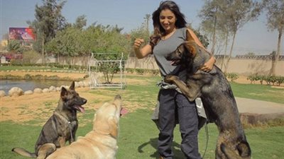 مي عمر تروض 3 كلاب ضخمة في كواليس «هو وهي وهو»