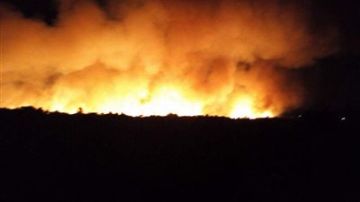 الأهالي يخلون منازلهم بسبب حريق الراشدة بالوادي الجديد (فيديو)