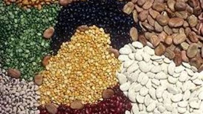 الفول السائب يسجل 12 جنيهًا بدمياط.. اليوم