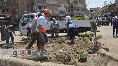 بالصور.. ختام معسكر تشجير «طلاب الجامعات» في قنا