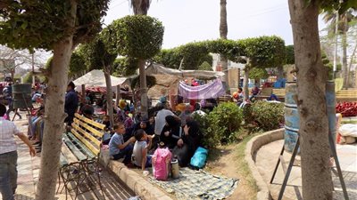 الفسيخ يجمع شمل العائلات في الدقهلية (صور)