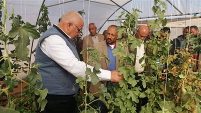 تنفيذ 50 صوبة زراعية بـ5 قرى في الوادي الجديد