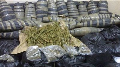 إحباط محاولة تهريب طن بانجو بالمجرى الملاحى لقناة السويس