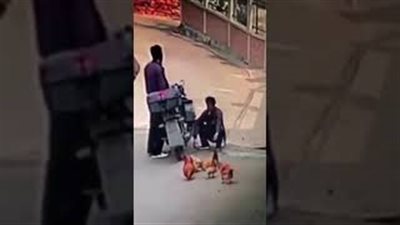 «حرامية الفراخ».. لحظة سرقة رجلين الدجاج من الشارع (فيديو)